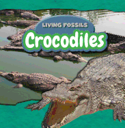 Crocodiles