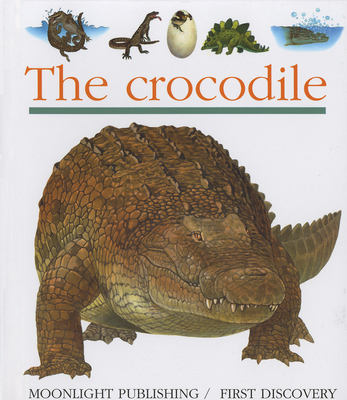 Crocodiles - Peyrols, Sylvaine, and Perols, Sylvaine (Illustrator)