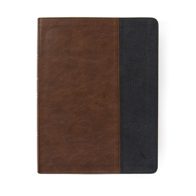 CSB Men of Character Bible, Brown/Black Leathertouch - Getz, Gene A, Dr., and Csb Bibles by Holman
