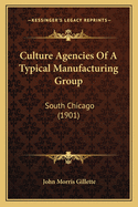 Culture Agencies Of A Typical Manufacturing Group: South Chicago (1901)