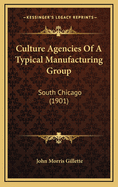 Culture Agencies of a Typical Manufacturing Group: South Chicago (1901)