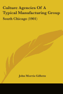 Culture Agencies Of A Typical Manufacturing Group: South Chicago (1901)