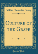 Culture of the Grape (Classic Reprint)