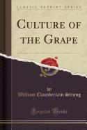 Culture of the Grape (Classic Reprint)