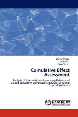 Cumulative Effect Assessment - Afroze, Shirina, and Iqbal, Asif, and Shipin, Oleg
