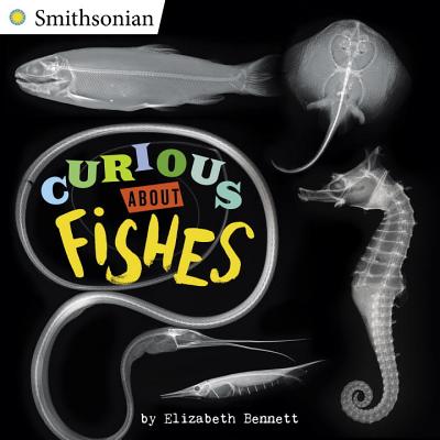 Curious about Fishes - Bennett, Elizabeth