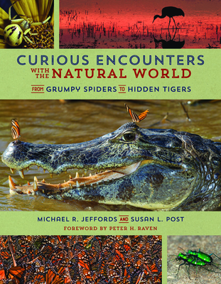 Curious Encounters with the Natural World: From Grumpy Spiders to Hidden Tigers - Jeffords, Michael, and Post, Susan