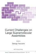 Current Challenges on Large Supramolecular Assemblies