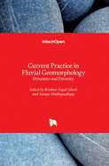 Current Practice in Fluvial Geomorphology: Dynamics and Diversity
