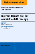 Current Update on Foot and Ankle Arthroscopy, an Issue of Clinics in Podiatric Medicine and Surgery: Volume 33-4