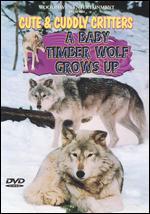 Cute and Cuddly Critters: A Baby Timber Wolf Grows
