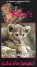 Cute and Cuddly Critters: Coka the Cougar