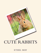 Cute Rabbits