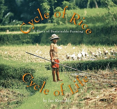 Cycle of Rice, Cycle of Life: A Story of Sustainable Farming - Reynolds, Jan