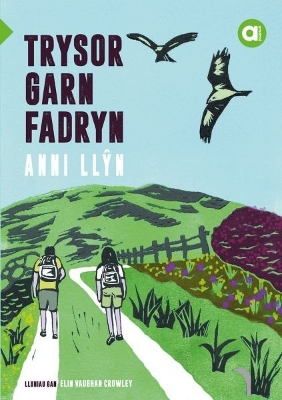 Cyfres Amdani: Trysor Garn Fadryn - Llyn, Anni