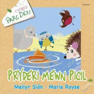 Cyfres Parc Deri: Pryderi Mewn Picil