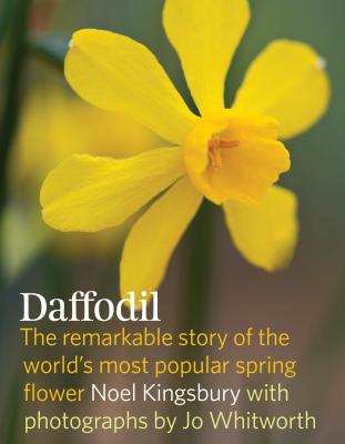 Daffodil: The Remarkable Story of the World's Most Popular Spring Flower - Kingsbury, Noel, Dr., and Whitworth, Jo (Photographer)