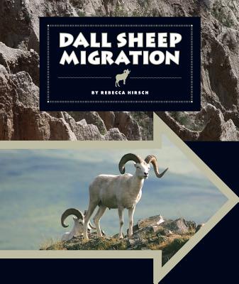 Dall Sheep Migration - Hirsch, Rebecca