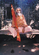 Dandi Swami: The Story of the Guru's Will, Maharishi Mahesh Yogi, the Shankaracharyas of Jyotir Math, & Meetings with Dandi Swami Narayananand Saraswati.