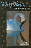 Daphne: A Trumpeter Swan