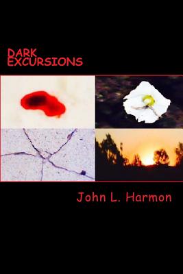 Dark Excursions: (the Complete Set) - Harmon, John L