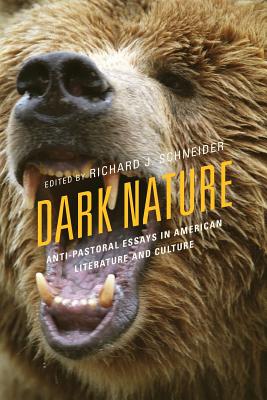 Dark Nature: Anti-Pastoral Essays in American Literature and Culture - Schneider, Richard (Editor), and Bellini, Frederico (Contributions by), and Claywell, Gina (Contributions by)