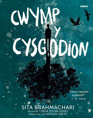 Darllen yn Well: Cwymp y Cysgodion - Brahmachari, Sita, and Jones, Tudur Dylan (Translated by), and Sirett, Natalie (Illustrator)