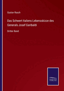 Das Schwert Italiens Lebensskizze des Generals Josef Garibaldi: Dritter Band