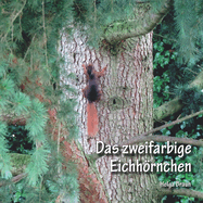 Das zweifarbige Eichhrnchen