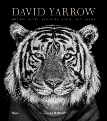 David Yarrow Photography: Americas Africa Antarctica Arctic Asia Europe - Yarrow, David, and Brady, Tom (Foreword by)