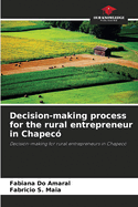 Decision-making process for the rural entrepreneur in Chapec?
