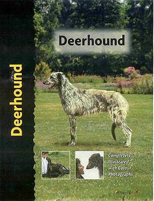 Deerhound - Cunliffe, Juliette