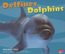 Delfines/Dolphins