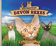 Delightful Devon Rexes