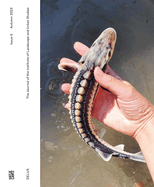 DELUS: Issue 0: The Journal of the Institute of Landscape and Urban Studies