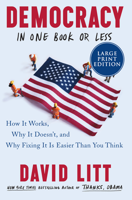 Democracy in One Book or Less LP - Litt, David