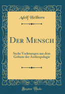 Der Mensch: Sechs Vorlesungen Aus Dem Gebiete Der Anthropologie (Classic Reprint)