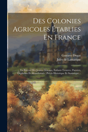 Des Colonies Agricoles tablies En France: En Faveur Des Jeunes Dtenus, Enfants Trouves, Pauvres, Orphelins Et Abandonns: Prcis Historique Et Statistique...