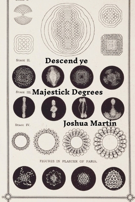 Descend ye Majestick Degrees - Martin, Joshua