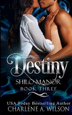 Destiny: Multi-Dimensional Soul Mates - Wilson, Charlene a