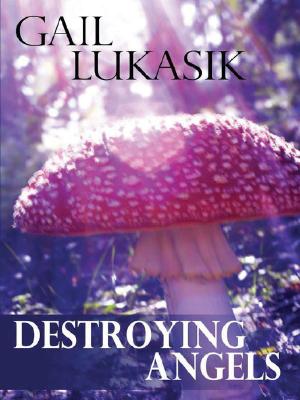 Destroying Angels - Lukasik, Gail