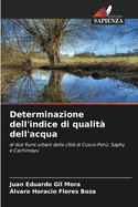 Determinazione dell'indice di qualit dell'acqua