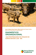 Diagn?stico Organizacional