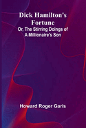 Dick Hamilton'S Fortune; Or, The Stirring Doings Of A Millionaire'S Son