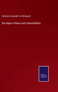 Die Alpen in Natur und Lebensbildern