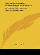 Die Conchylienfauna Der Eocaenbildungen Von Kalinowka: Im Gouvernement Cherson Im Sudlichen Russland (1869)