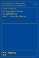 Die Europaische Union Am Scheideweg: Mehr Oder Weniger Europa?