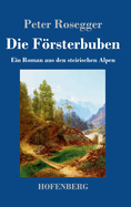 Die Frsterbuben: Ein Roman aus den steirischen Alpen