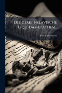 Die gemeinslavische Liquidametathese.
