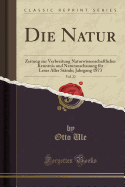 Die Natur, Vol. 22: Zeitung Zur Verbreitung Naturwissenschaftlicher Kenntnis Und Naturanschauung F?r Leser Aller St?nde; Jahrgang 1873 (Classic Reprint)